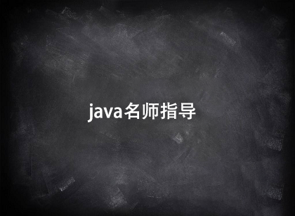 java名師指導